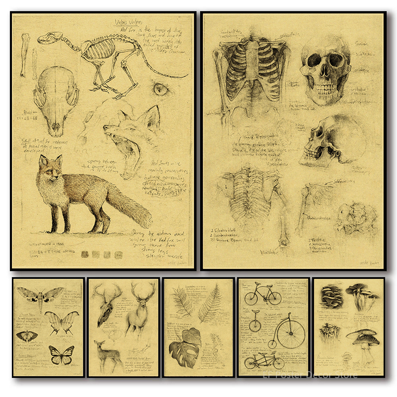 Old Sketch Studies Poster Vulp - Vintage Fashion Wallpaper のレビューと価格